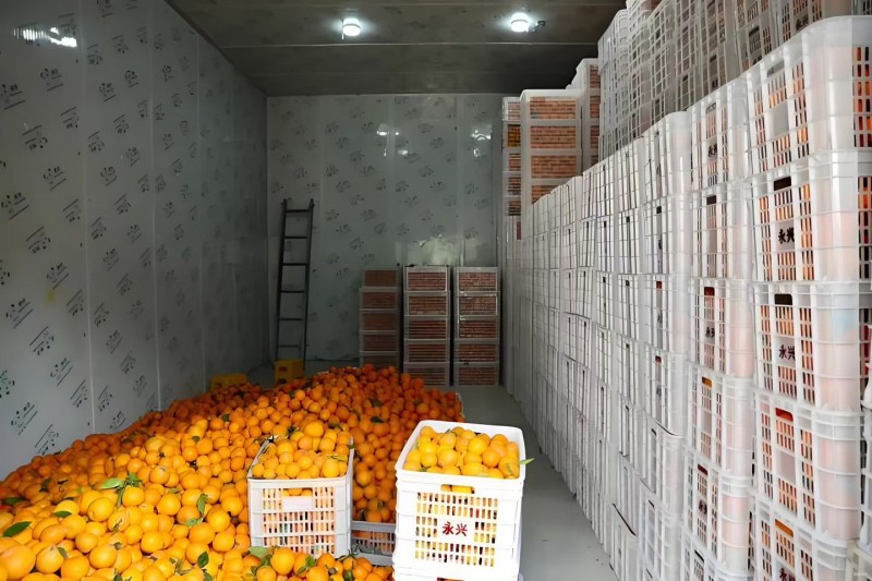 微信图片_20251124150951_1147_261