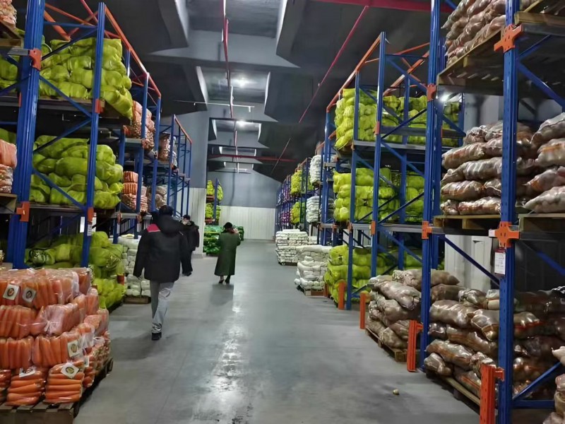 微信图片_20251204143803_1247_261