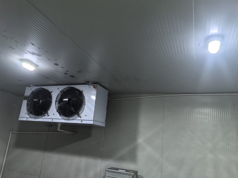 微信图片_20251112104233_1697_10