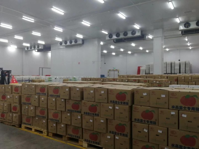 微信图片_20260120130326_26_194