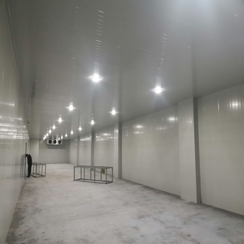 微信图片_20240110161847_副本