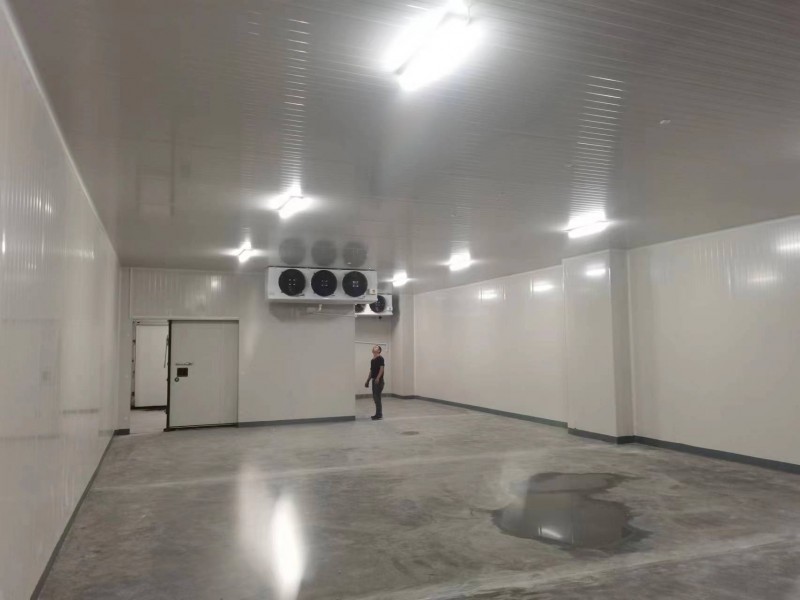 微信图片_20260325090152_86_263