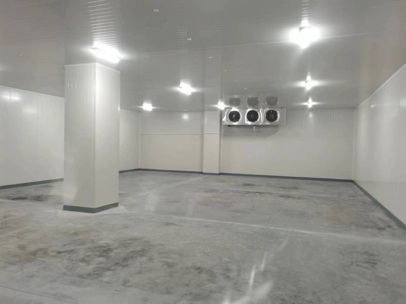 微信图片_20260325090152_85_263