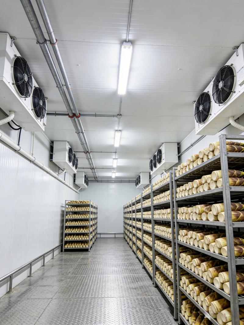 春季适合吃的蔬菜_副本