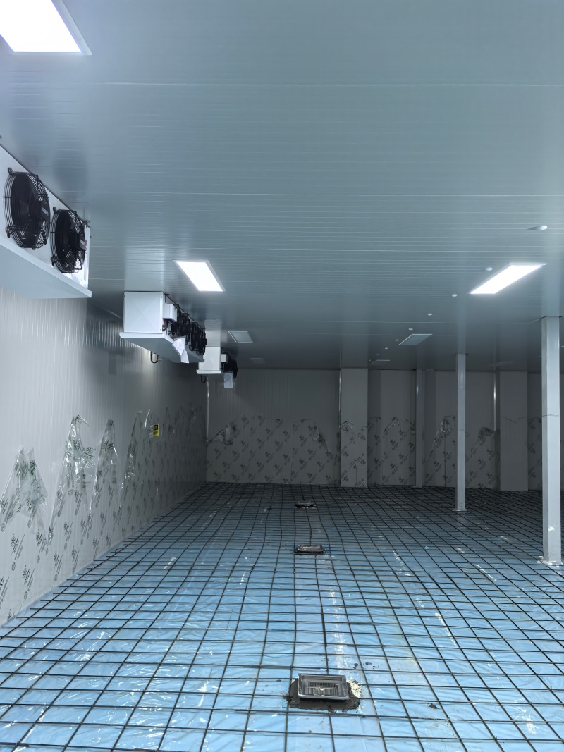 微信图片_20260409093323_146_263_副本